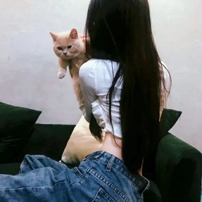 麒麟之翼